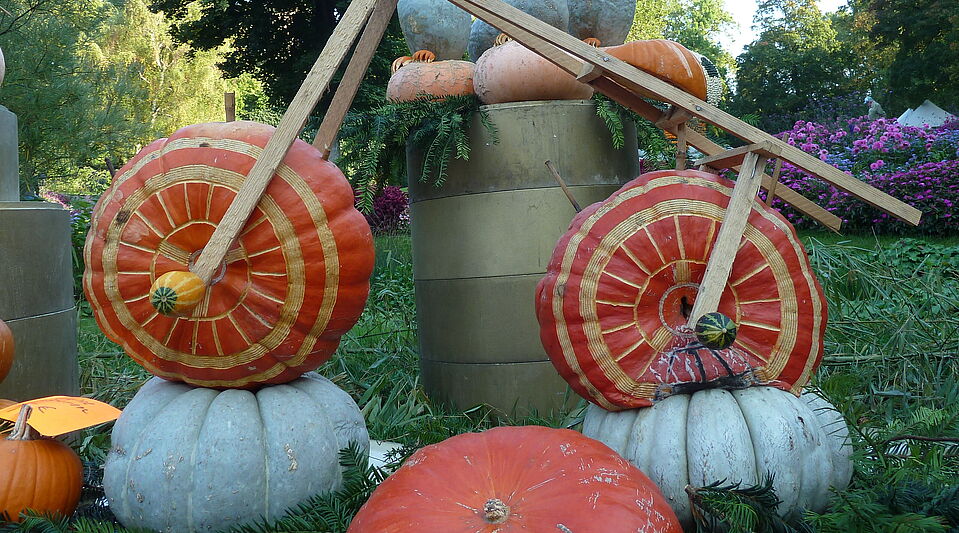 Kuerbisrad Kuerbisrad